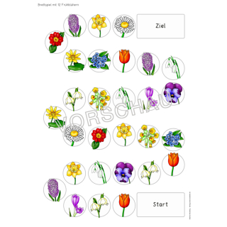 werkstatt clipart flower